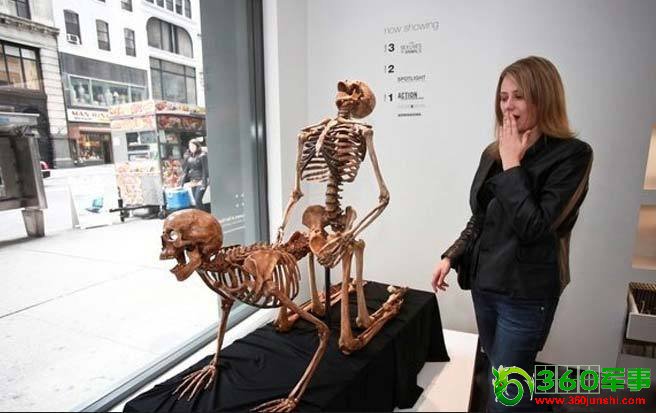 ���ͼƬ�鿴��һҳ